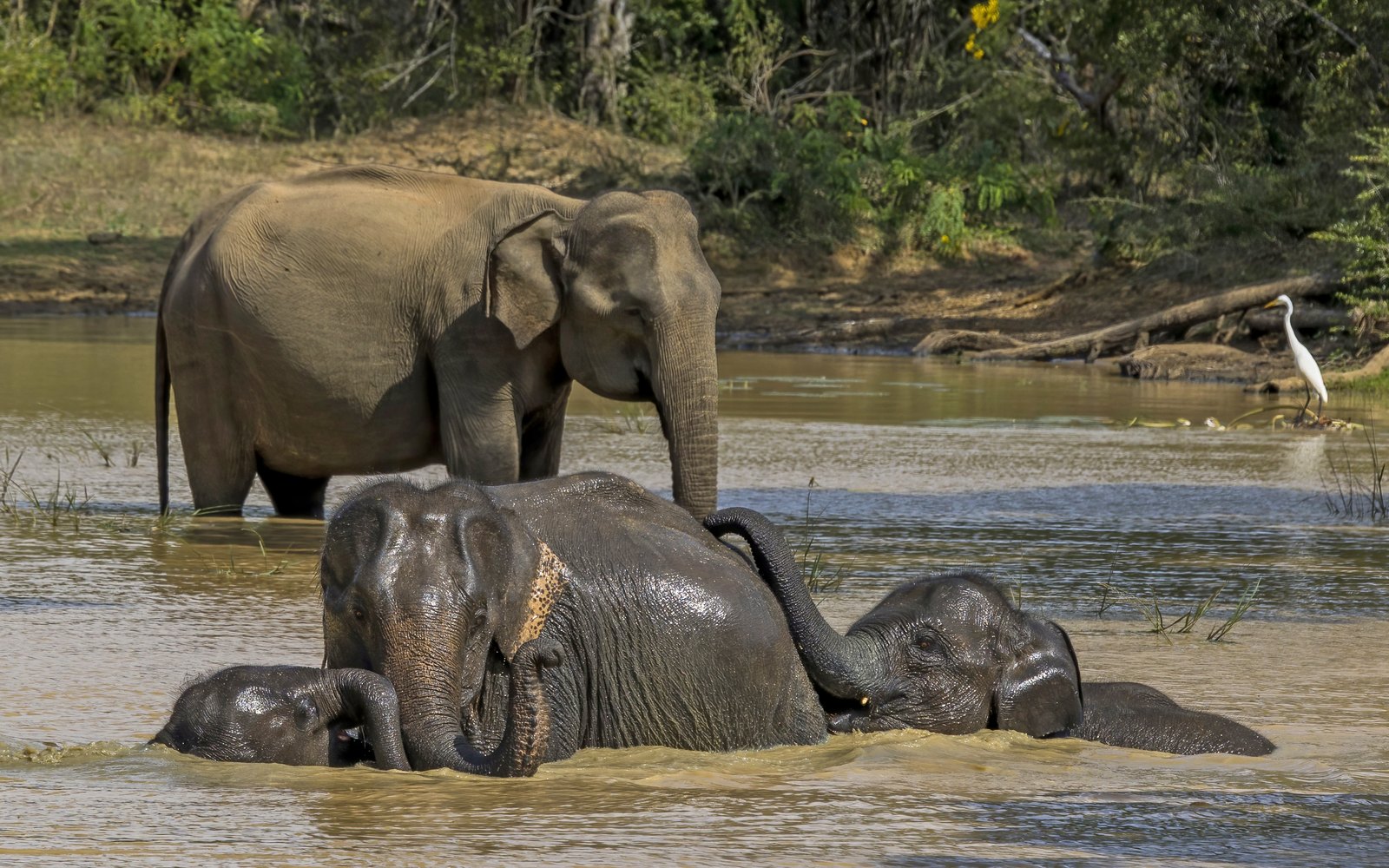 Wildlife & Adventure Tour