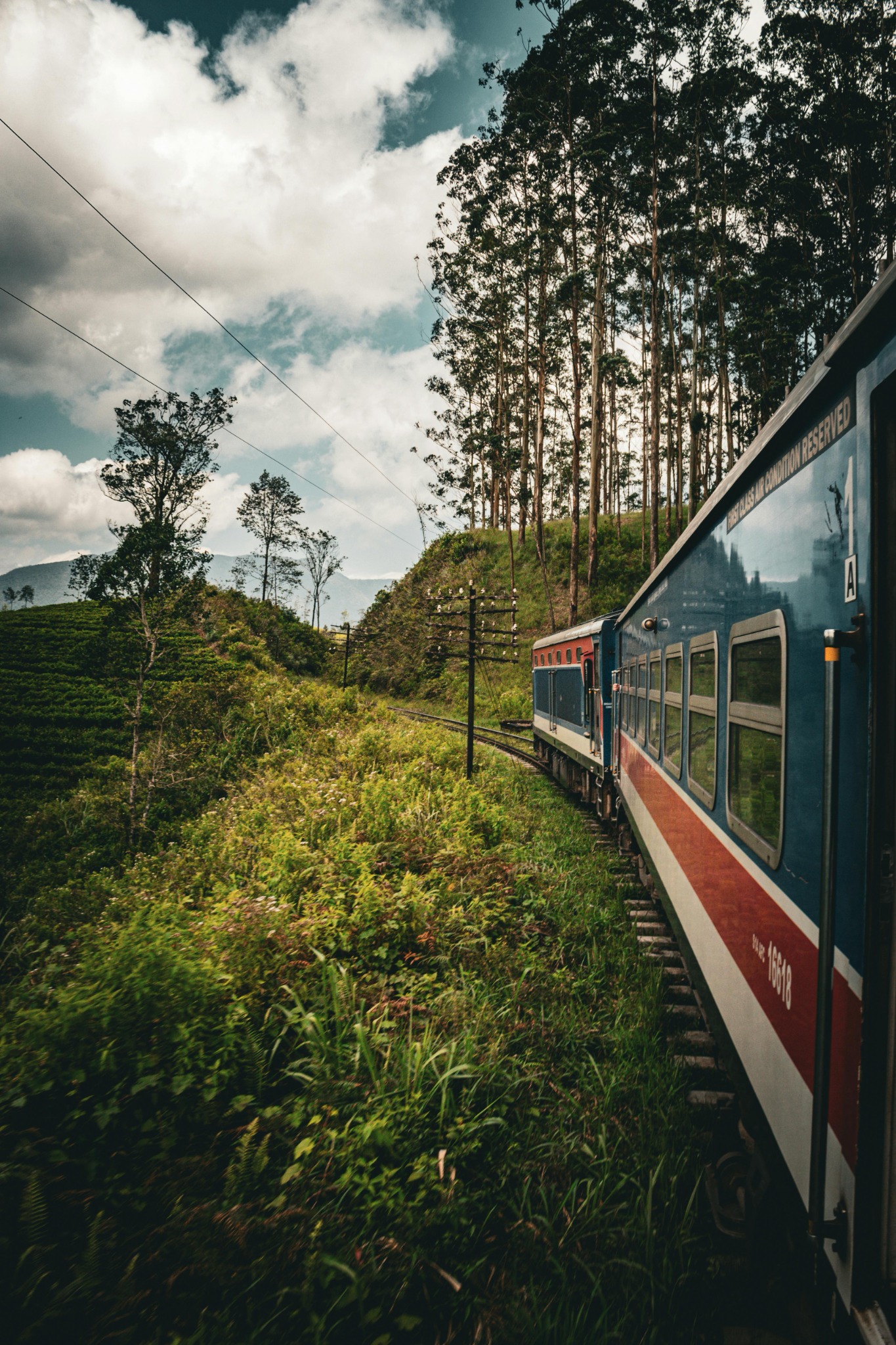 Budget Traveler Tour